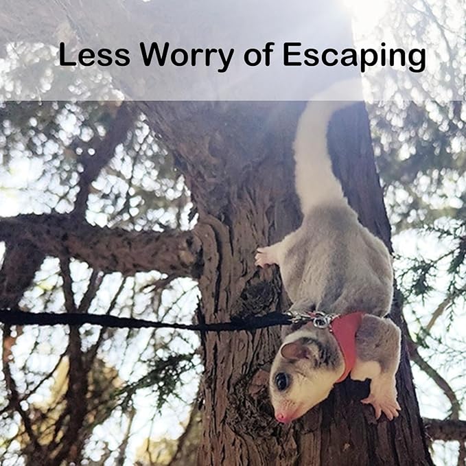 Meow&Woof 3 Pack Sugar Glider Harness and Leash Set Small Animal Training Walking Vest for Squirrel Hamster Rat Yellow