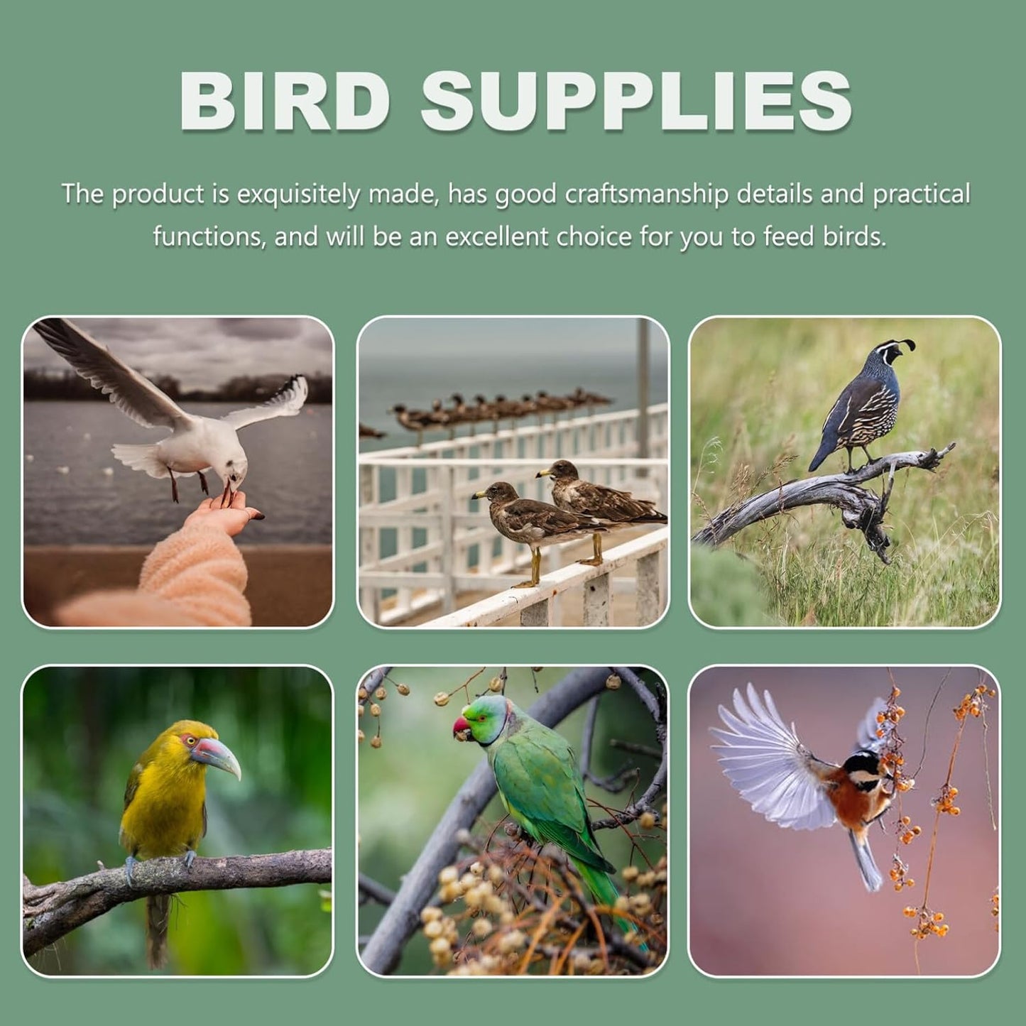 Kisangel 2PCS Bird Cage Feeder Trough, Clear Bird Feeder Cups Parrot Water Bowl for Cage Replacement