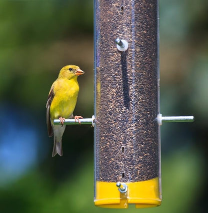 Wagner's 62053 Nyjer Seed Wild Bird Food, 20-Pound Bag