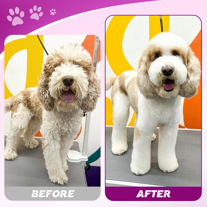 JASON Professional 6 in 1 Dog Shears Kit - 6.5" Thinning, 7" Straight, 7" Up-Curved, 7" Down-Curved Scissors and Comb for Cat, Pet with Adjustable Screw (Purple)