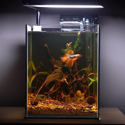 majoywoo Natural Driftwood for Aquarium Decor Fish Tank Decorations, Assorted Spider Wood Branch 4-8" 5 Pcs, Reptile Decor