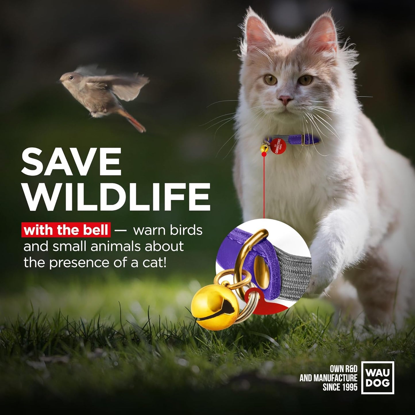 WAUDOG Ultra Soft Rolled Leather Cat Collar with Removable Bell, Safety Elastic Strap and QR ID Tag - Soft Padded for Small, Medium, and Large Cats - Round Kitten Collar for Male and Female Cats