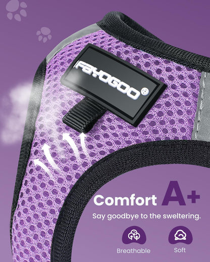 FAYOGOO Cat Harness, Cat Leash and Harness Set for Walking Escape Proof, Harness for Small Cats/Small Dogs, Large Kitten/Puppy Harness and Leash, Harness for Cats S-XXL(Modern Violet, Large)