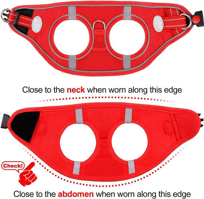 Joytale Small Dog Harness, Breathable Mesh Step-in Vest, Reflective Soft Padded Harnesses Small Sized Dog for Walking, Red, S