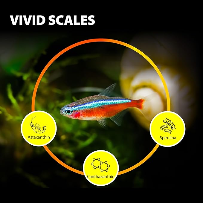 Purify Series for Tetra Fish Food, Small Tropical Sinking Pellets, Suitable for Betta, Guppy Fish, All Natural Ingredients, Balanced Composition of Fish Feed, 2.65 oz (Pack of 1)