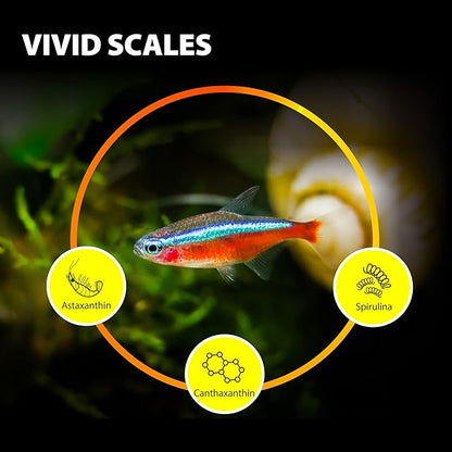 Purify Series for Tetra Fish Food, Small Tropical Sinking Pellets, Suitable for Betta, Guppy Fish, All Natural Ingredients, Balanced Composition of Fish Feed, 2.65 oz (Pack of 1)