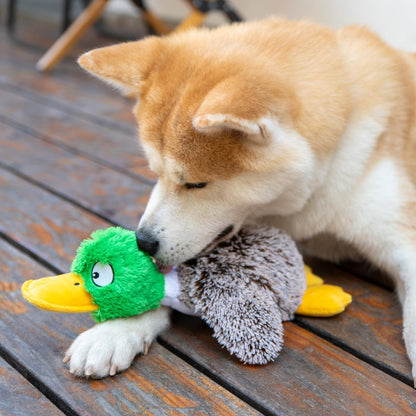 Best Pet Supplies Interactive Squeaky Dog Chew Toy, Ideal Dog Toys for Chewers, Small, Medium & Large Dogs, and Fetch Lovers - Mallard Duck (Gray), Large
