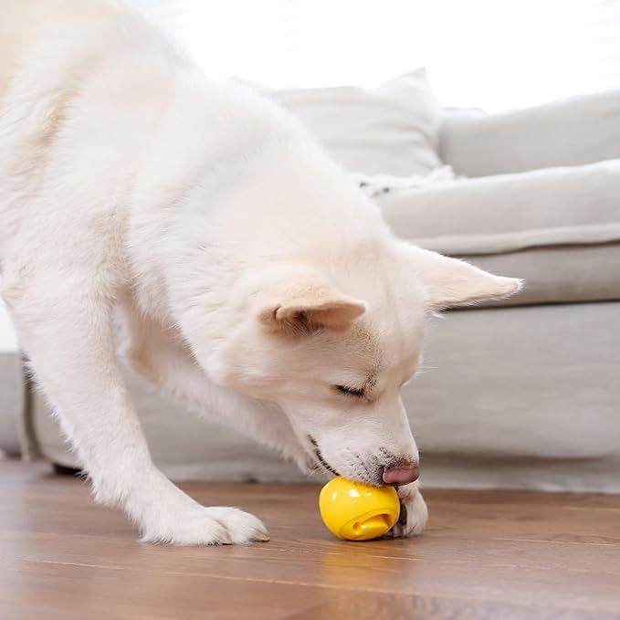 Outward Hound Nooks Happiness Interactive Durable Treat-Dispensing Dog Toy, Stuffable Puzzle Ball for Solo Play or Pair with Large Snoop, Mint-Scented, BPA-Free