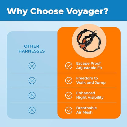 Voyager Escape Proof Cat Harness and Leash Set with Reflective Stitching, Neoprene Handle 5ft - Supports Small, Medium and Large Cats, Kittens for Walking by Best Pet Supplies - BT-Orange, XXXS