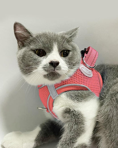 Joytale Small Dog Harness, Breathable Mesh Step-in Vest, Reflective Soft Padded Harnesses for Cats and Puppies Dogs, Pink, XXXS