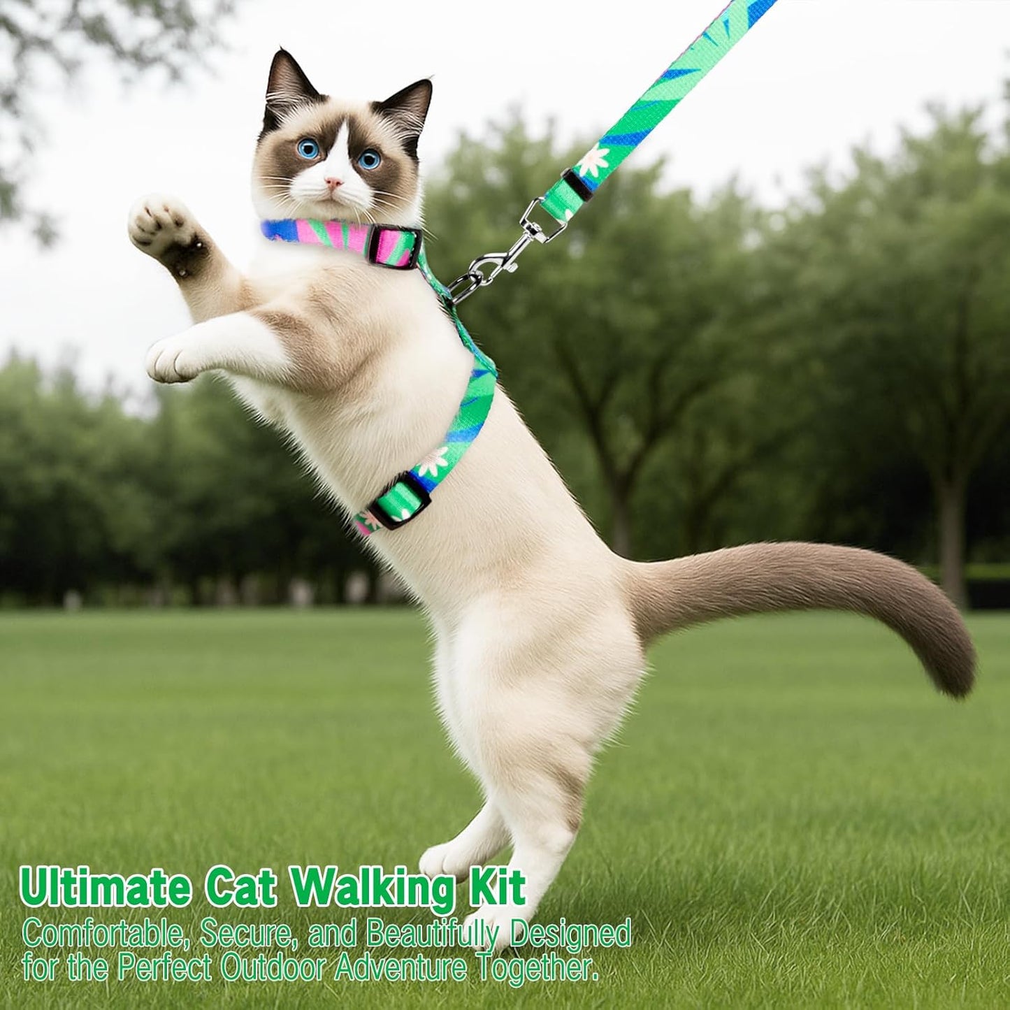 Cat Harness and Leash Set, Escape Proof Cat Harness, Comfortable Soft Lightweight Cat Leash, Use Safe and Easy, Outdoor Walking Travel Kitten Harness for Small Medium Large Cats