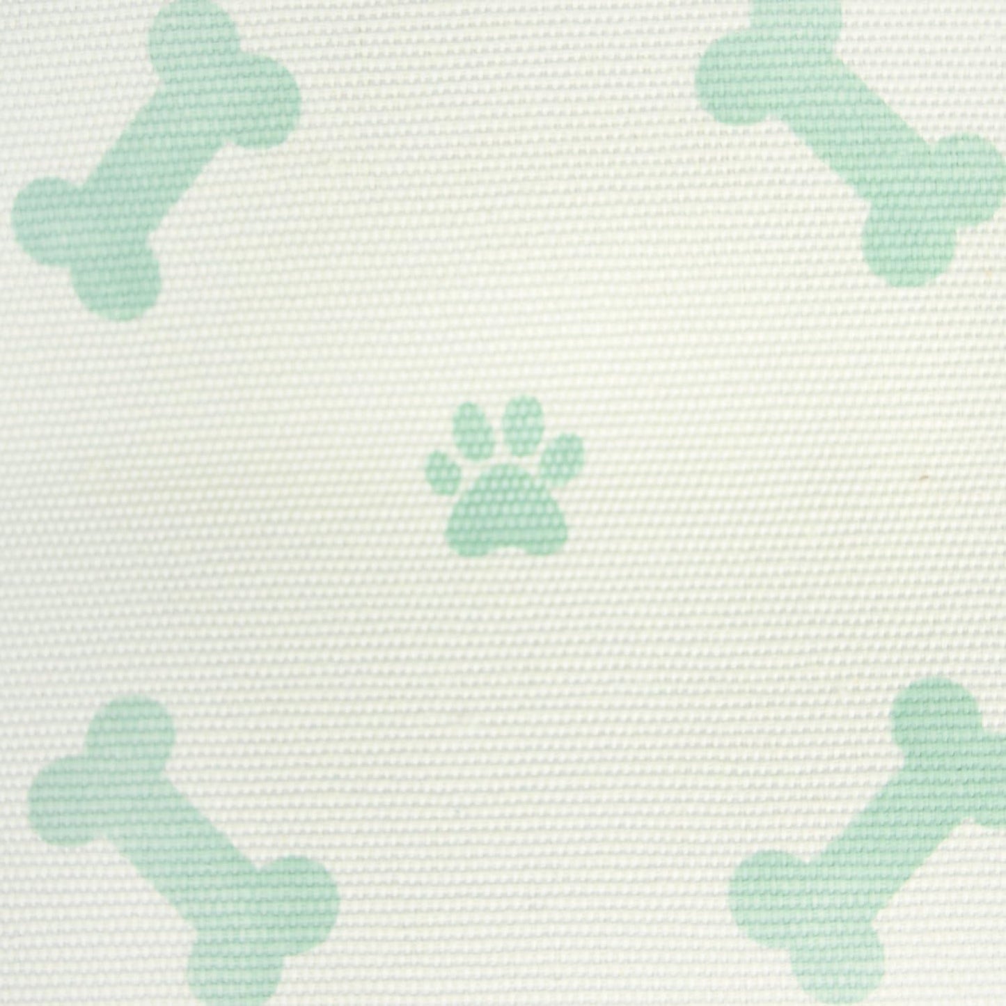 Bone Dry Pet Storage Collection Paw and Bone Print, Small Rectangle, 14x8x9", Mint