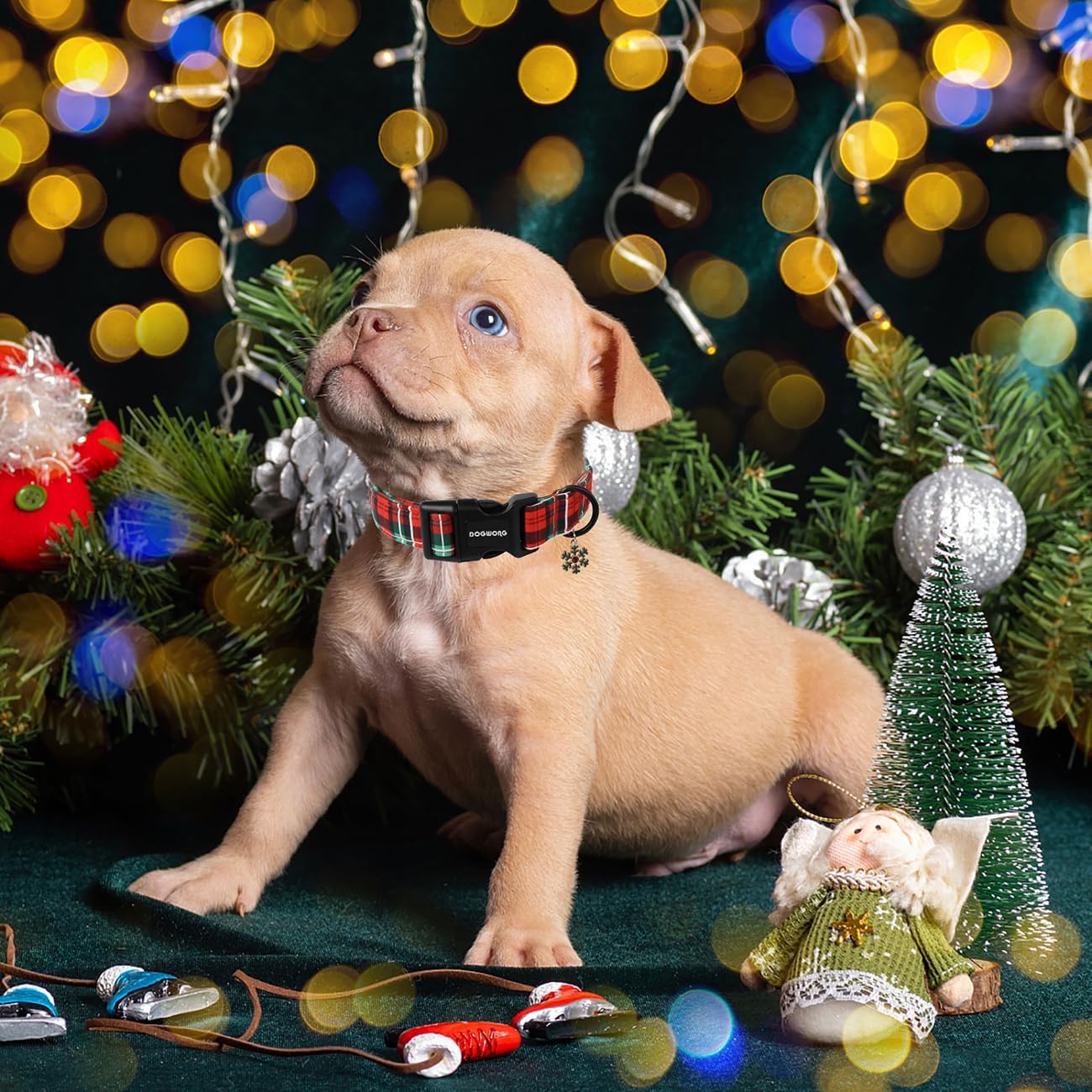 DOGWONG Christmas Plaid Dog Collar- Cute Red Christmas Checked Dog Collars Adjustable Designer Grid Dog Collar for Small Medium Large Dogs XS