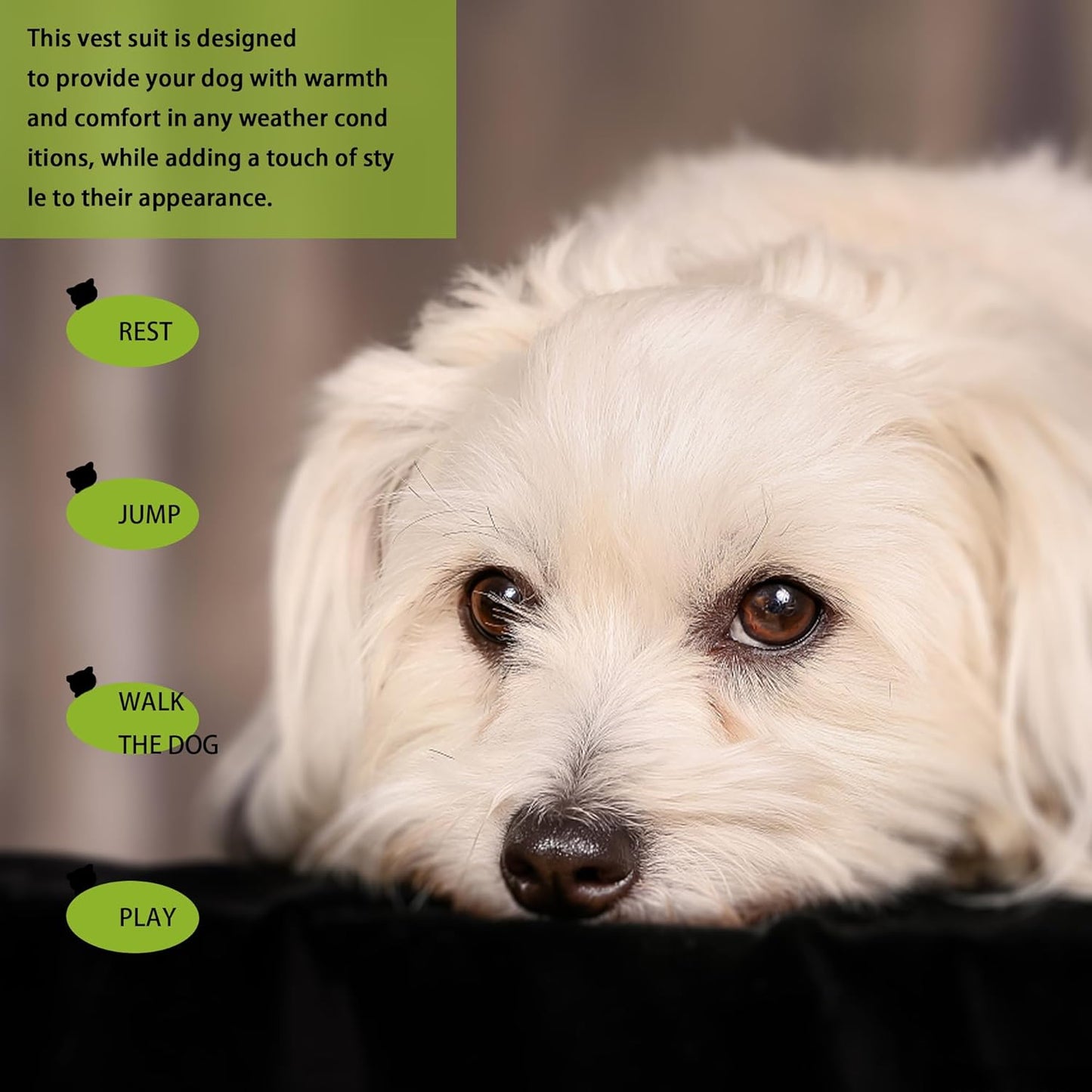 Elevate Your Pet's Seasonal Style with Playful Panache: with Adorable Beautifully Printed Dog Shirts Featuring Hilarious Printed Patterns for Airy Comfort in Summer and Fall Classic Series6 Medium