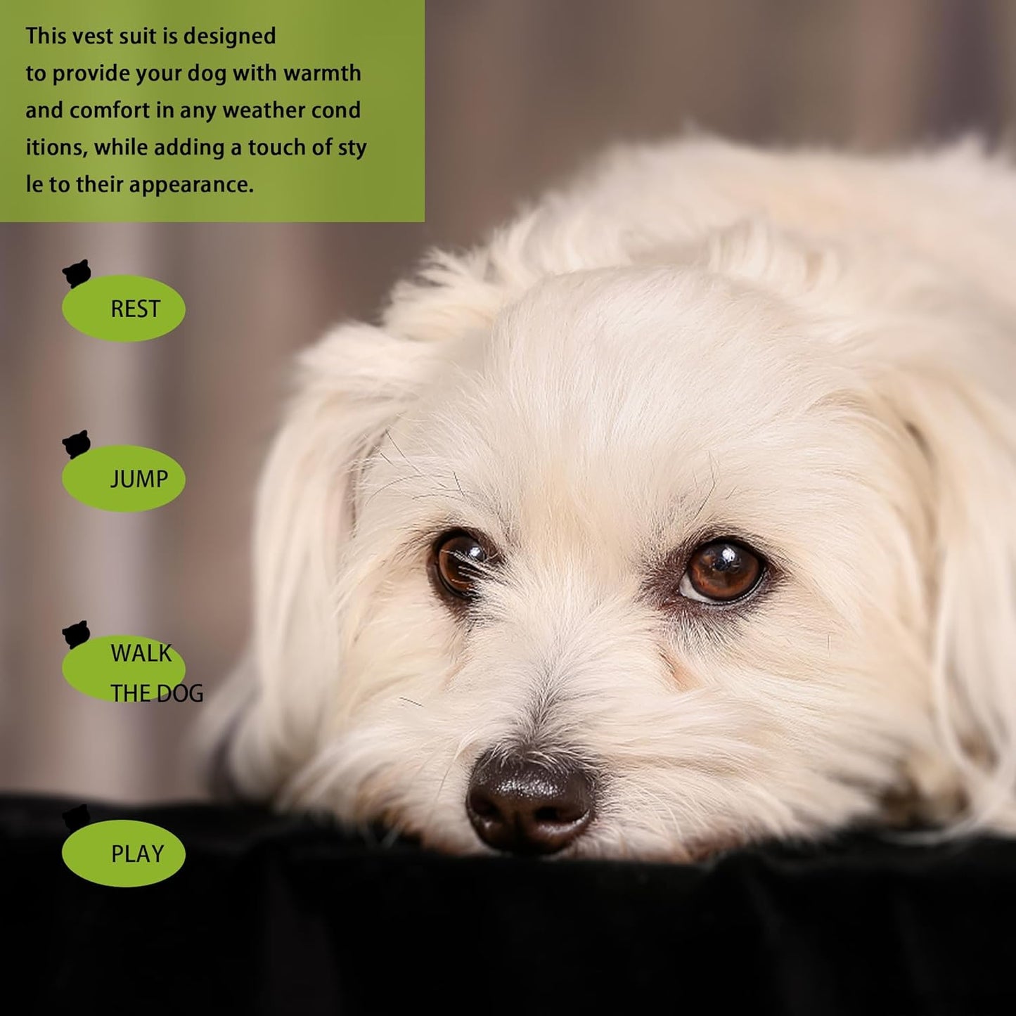 Elevate Your Pet's Seasonal Style with Playful Panache: 4-Piece Set of Dog Shirts Featuring Hilarious Printed Patterns for Airy Comfort in Summer and Fall Classic Set 1 Large