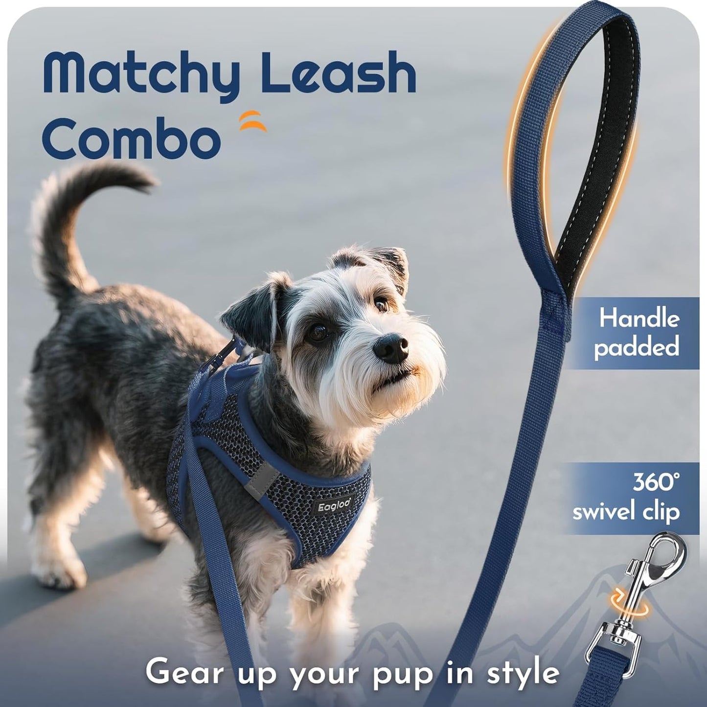 Eagloo Small Dog Harness and Leash Set, Step in Puppy Vest with Breathable Soft Mesh, Walking Reflective Pet Harness for Medium Small Dogs, Navy Blue, L