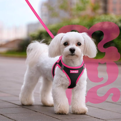 rabbitgoo Dog Harness Small Sized and Leash Set, Step-in Breathable Pet Harness, Soft Walking Reflective Puppy Vest for Small Dogs, Black & Rose Red, L