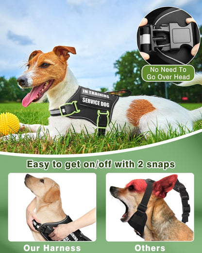 Service Dog Vest Harness and Leash Set+10 Patches for Puppy Small Dogs,Do Not Pet Emotional Support Dog Vest with 2 Soft Padded Handle for Everyday/Training (Black XS)