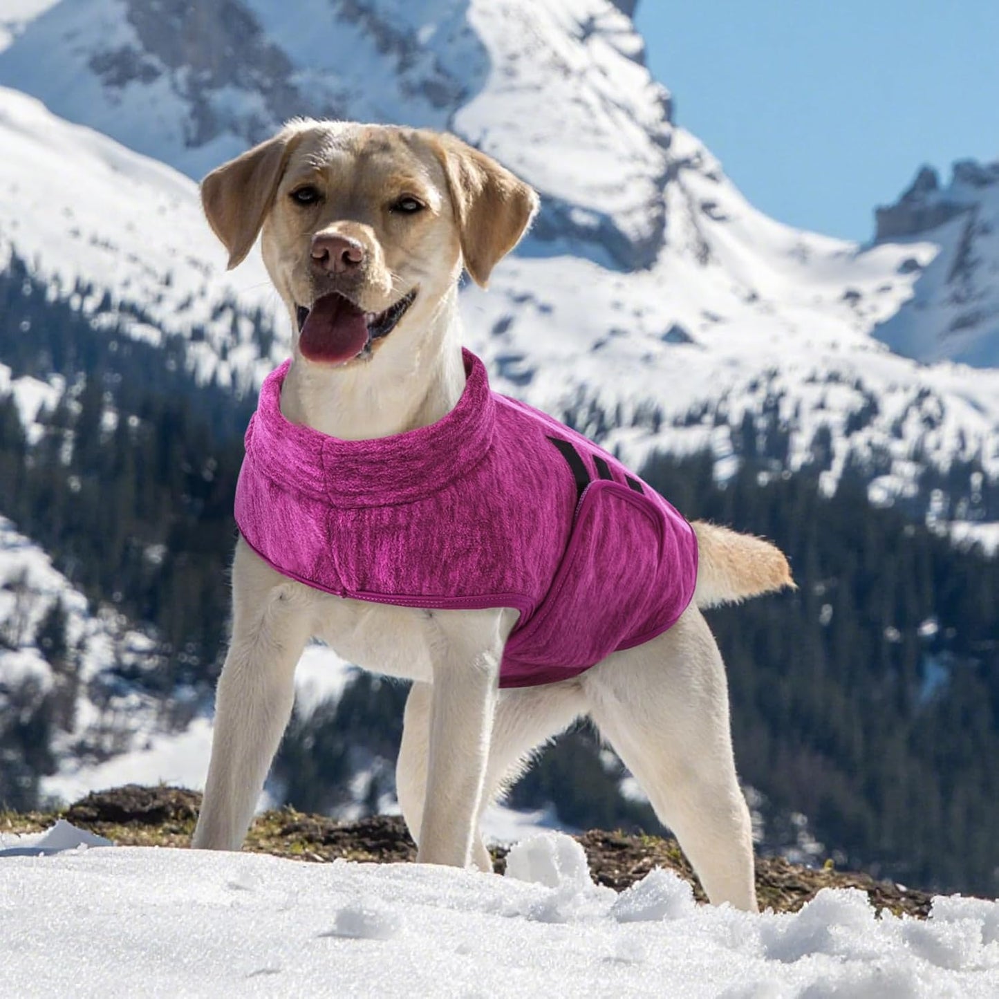 Queenmore XXL Dog Sweaters, Soft Fleece Vest Pullover Dog Jacket with Leash Hole, Warm Winter Dogs Clothes Cold Weather Doggy Dachshund Sweater for Large Dogs Cats Boy or Girl (Cationic Berry, XXL)