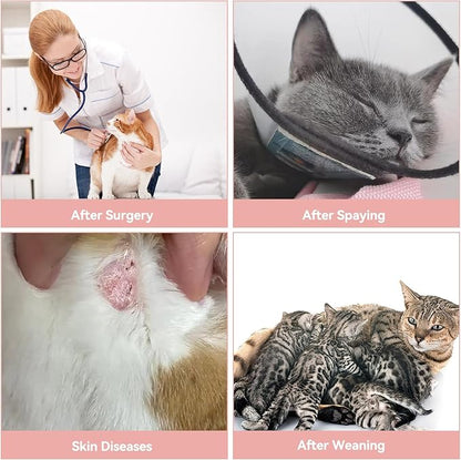 2 PCS Cat Recovery Suit for Spay Abdominal Wounds Female, Cat Onesie for Cats After Surgery, Pet Surgery Recovery Suit Kitten Onesie for Cats Anti Licking (Pure(2 PCS), Small)