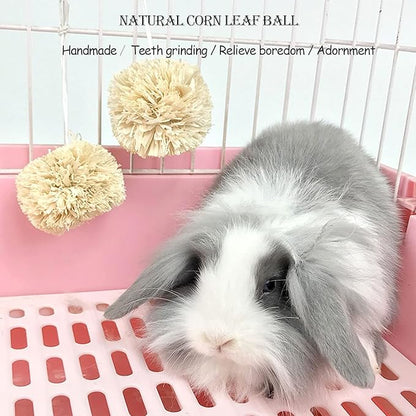 kathson Bunny Chew Toys for Teeth Grinding, Rabbit Wooden Scratch Board Feet Pad Platform Natural Seagrass Hanging Basket Small Animals Play Toy for Guinea Pigs Chinchilla Hamsters(C)