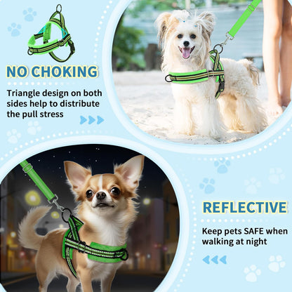 Lukovee No Pull Dog Harness and Leash Set, Soft Padded Small Dog Harness, Neck & Chest Adjustable Reflective Vest Puppy Harness with 4ft Lightweight Anti-Twist Dog Leash for Small Dogs (XXS, Green)