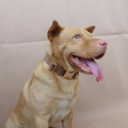 PETDURO Custom Dog Collar Personalized with Name Engraved Gold Metal Buckle for Large Medium Small Dogs - Dog Leash and Bow Tie Available - Soft Thick Velvet (Camel RG, XS)