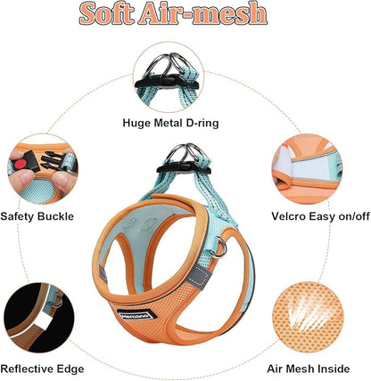 Mercano Soft Mesh Dog Harness and Leash Set, No-Chock Step-in Reflective Breathable Lightweight Easy Walk Vest Harnesses with Safety Buckle for Small Dogs, Cats (M, Orange Blue)