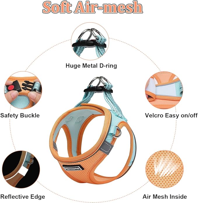 Mercano Soft Mesh Dog Harness and Leash Set, No-Chock Step-in Reflective Breathable Lightweight Easy Walk Vest Harnesses with Safety Buckle for Small Dogs, Cats (L, Orange Blue)