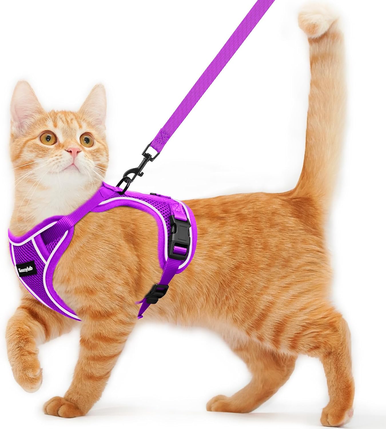 Cat Harness and Leash for Walking Escape Proof Soft Adjustable Cat Leash Breathable Comfortable Vest Easy to Wear Kitten Harness for Outdoor Travel Purple M