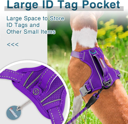 BARKBAY Dog Harness No Pull with ID Tag Pocket - Heavy Duty, Reflective, Easy Control for Small Dogs(Purple,S)