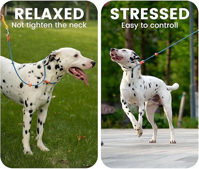 Slip Lead Dog Leash with Double Handles | Reflective Dog Training Leash with 360° Swivel Anti-Tangle | Heavy-Duty Leash and Collar for Large Medium and Small Dogs No-Pull Walking (Black, 5.5FT)