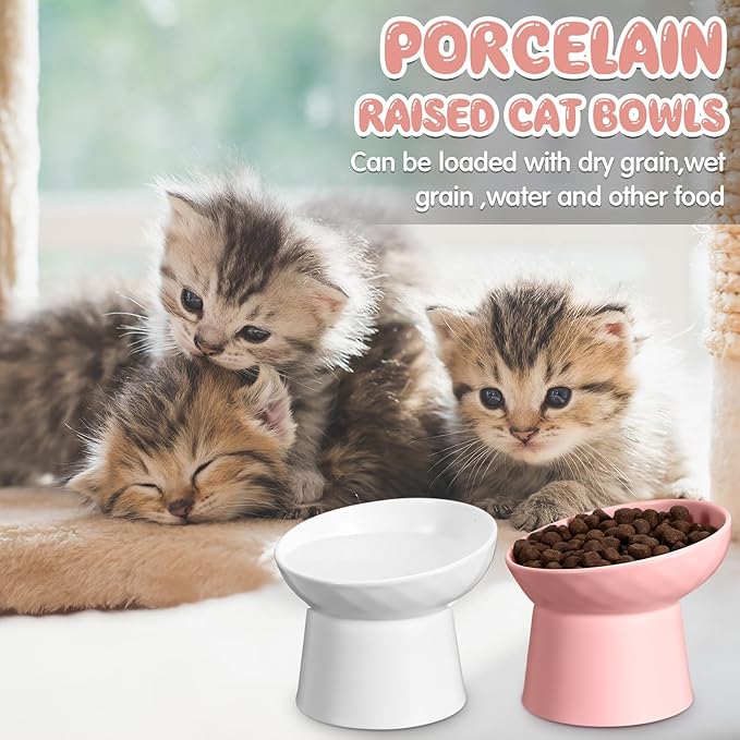 Tanlade 4 Pcs Ceramic Raised Cat Bowls, Elevated Tilted Cat Bowl, Stress Free, Backflow Prevention, Dishwasher and Microwave Safe for Indoor Kitten, Puppies(White and Pink)