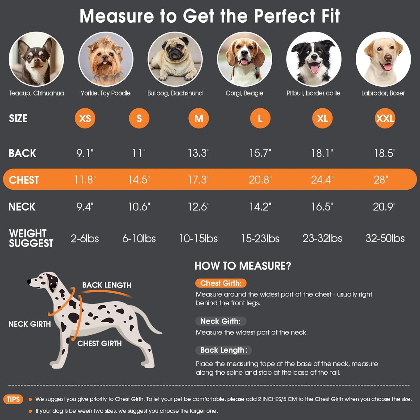 Queenmore Dog Sweater - Warm Winter Fall Turtleneck Knit for Small, Medium, Large Puppies - Long Sleeves Christmas Sweater for Girls Boys - Blue, XL