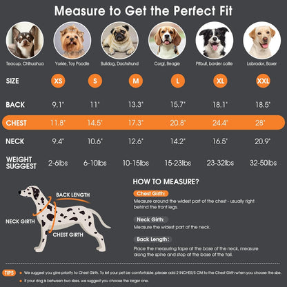 Queenmore Dog Sweater - Warm Winter Fall Turtleneck Knit for Small, Medium, Large Puppies - Long Sleeves Christmas Sweater for Girls Boys - Blue, XL