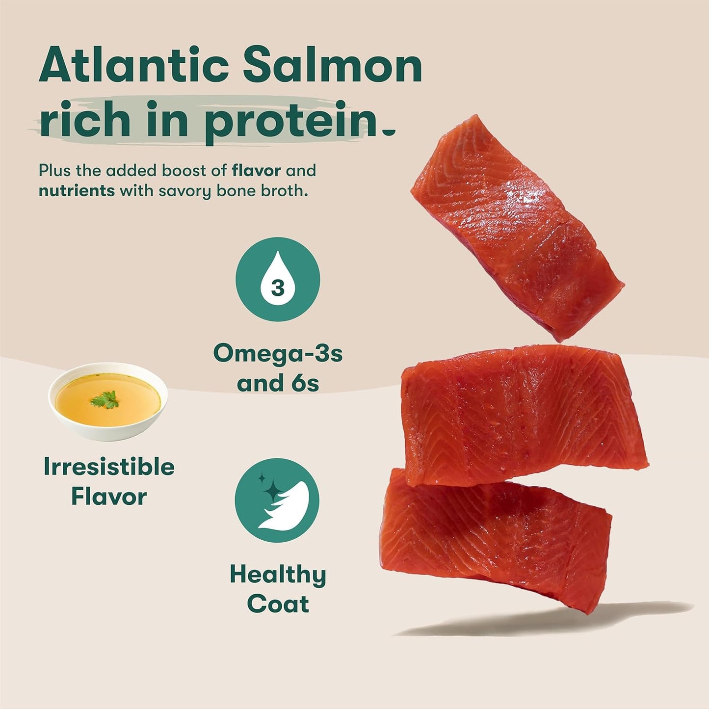 Jinx Salmon Grain Free Wet Dog Food Toppers, Meal or Mix with Dry Dog Food, Made with Real Salmon & Chicken, Bone Broth, No Fillers, Puppy, Adult, Senior, 9oz, 6 Pack