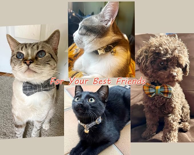 Personalized Cat Collar with Engraved Name and Phone Number - Customizable Kitten Collars for Boys and Girls (Plaid)