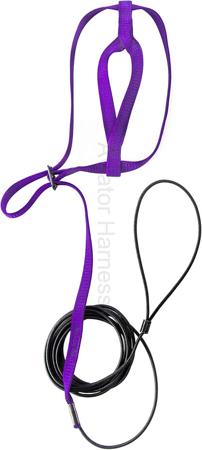 The AVIATOR Pet Bird Harness and Leash: Small Purple