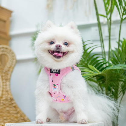 PUPTECK Adjustable Dog Harness Collar and Leash Set, Step in No Pull Pet Harness for Small Medium Dogs Puppy Cats Outdoor Walking, Soft Mesh Padded Reflective Vest Harnesses, Light Pink Alpaca, M