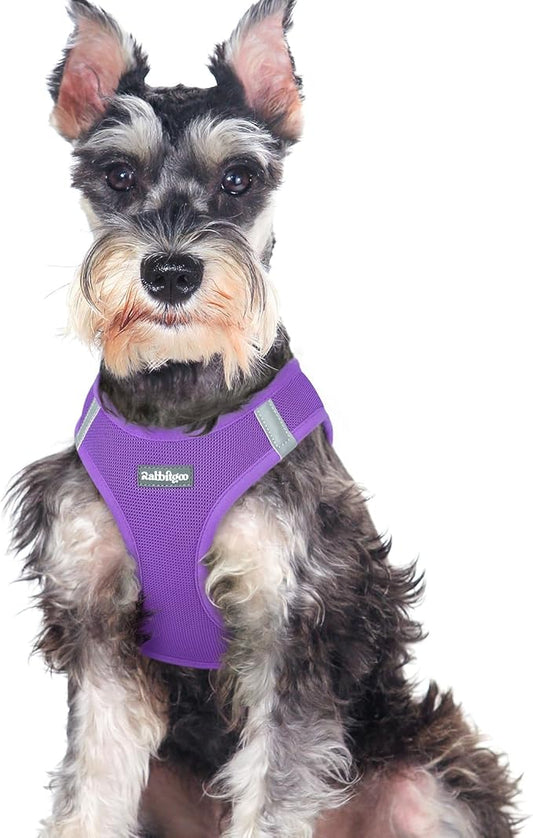 rabbitgoo Small Dog Harness, Step-in Soft Mesh Puppy Vest with Safety Buckle, Breathable Reflective Pet Harness for Large Dogs, Purple XXL