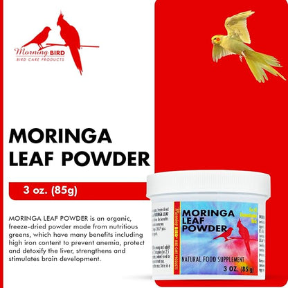 Morning Bird Moringa Leaf Powder 3 oz – Natural Food Supplement for Birds, Rich in Vitamins & Minerals, Boosts Immune System & Energy, Supports Healthy Feathers, Digestion, and Overall Avian Wellness