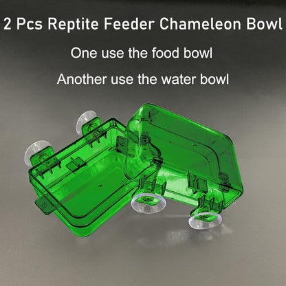 Tfwadmx 2 Pcs Reptile Feeder Chameleon Bowl Water Dish with Suction Cup Gecko Worm Feeder Anti-Escape Chameleon Supplies Accessories for Iguana Lizard Bearded Dragon Snakes （Green,S）