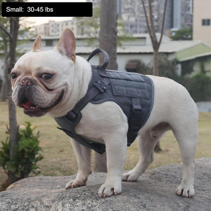 ICEFANG Tactical Dog Harness, Small Size,2X Metal Buckle,Working Dog MOLLE Vest with Handle,No Pulling Front Leash Clip,Hook and Loop Panel (Grey,S (Pack of 1))