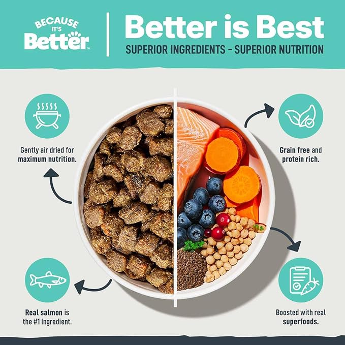 Because it's Better Slow Baked and Air Dried Dog Food, Real Salmon and Veggies, 1lb Bag, Complete and Balanced Dry Dog Food, for All Life Stages