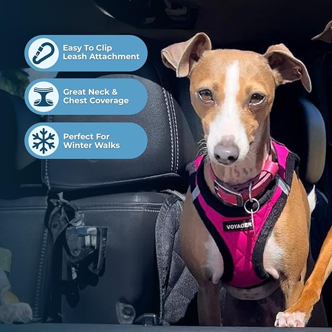 Best Pet Supplies - All Weather Mesh / Plush, Reflective, No Pull Harness for Small, Medium Dogs, Cats - Secure with Hook & Loop Fastener, Buckle, Double D-Rings - Red Rose Plush, XL