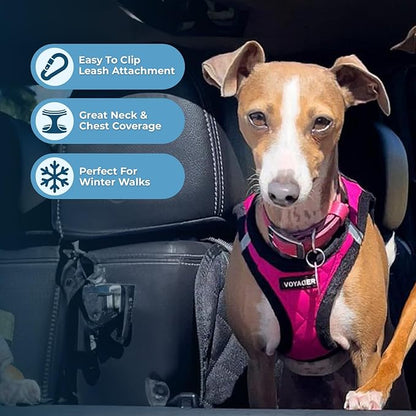 Best Pet Supplies - All Weather Mesh / Plush, Reflective, No Pull Harness for Small, Medium Dogs, Cats - Secure with Hook & Loop Fastener, Buckle, Double D-Rings - Red Rose Plush, XL