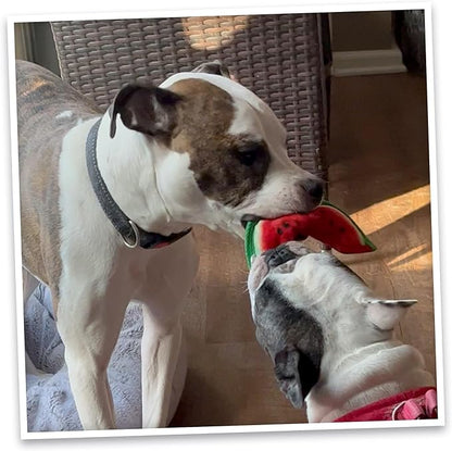 Doggijuana Tuffer Chewer Mini Plush Dog Toy | Funny Dog Toy Plush with Juananip Catnip for Dogs | Calming Aid for Dogs | Interactive Squeaky Chew Toy for Play (Watermelon Slice)