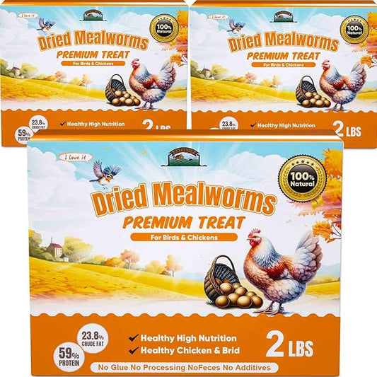 6LB (2LB*3) Dried Mealworms for Birds Treats Bulk - Non GMO Meal Worms Dried for Chickens, Wild Birds, Turkeys, Reptile Food - High Protein Grub Worms for Chickens for Laying Hens Chicken Worms