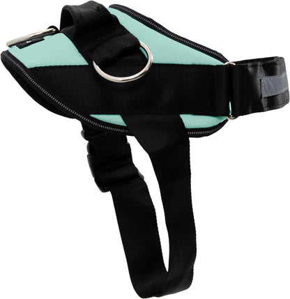 ShawnCo Essential Dog Harness, No-Pull Pet Vest with 3 Leash Clips, No Choke, Reflective, Adjustable and Padded, for Easy Walking and Training for Small, Medium and Large Dogs (Seafoam, L)