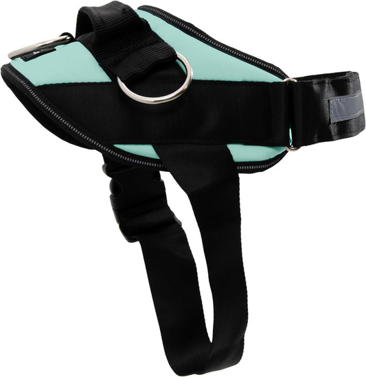 ShawnCo Essential Dog Harness, No-Pull Pet Vest with 3 Leash Clips, No Choke, Reflective, Adjustable and Padded, for Easy Walking and Training for Small, Medium and Large Dogs (Seafoam, M)